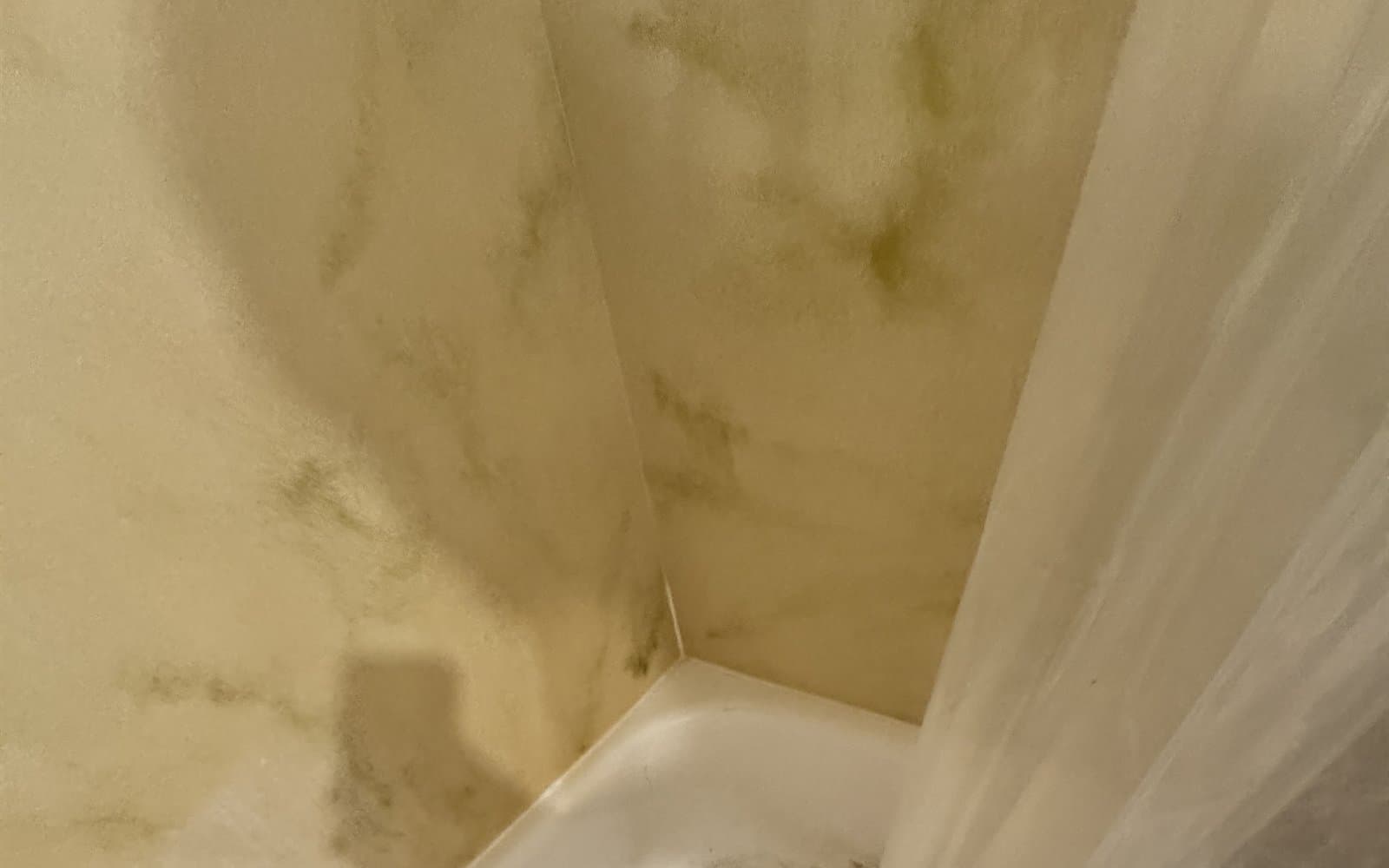 Moisture-related growth documented during a BNS Premier Restoration & Renovation bathroom inspection
