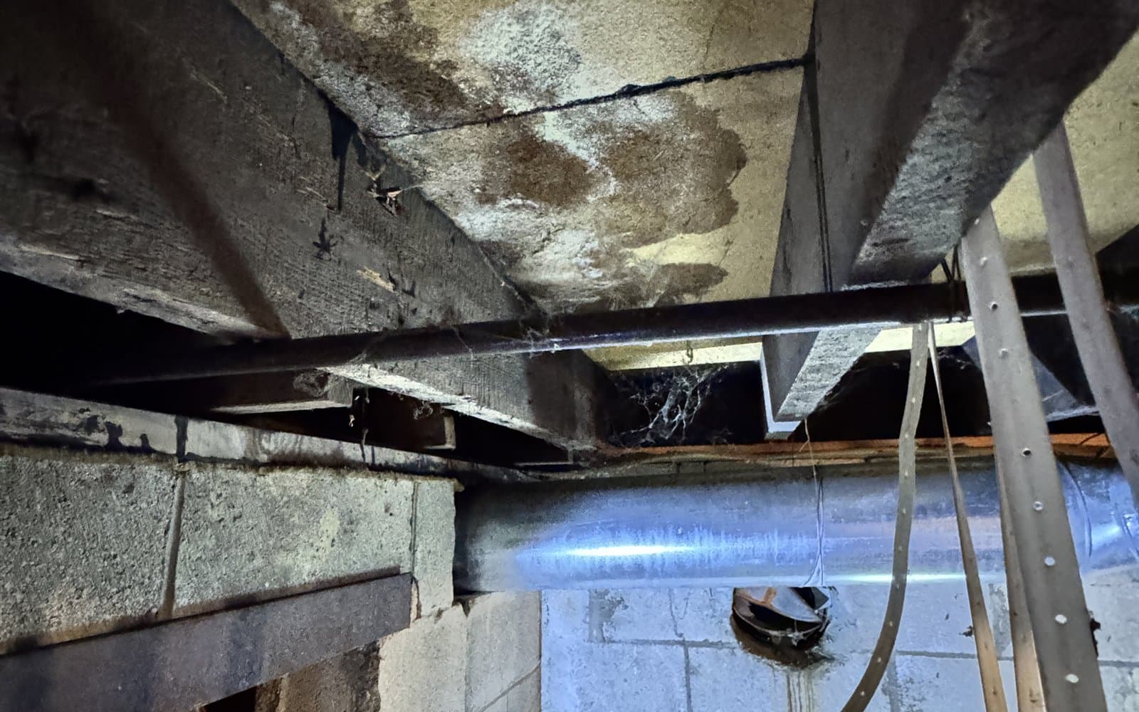 Moisture-damaged framing and subfloor documented during a BNS Premier Restoration & Renovation field inspection